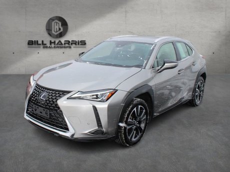 2020 Lexus UX 250h Base 