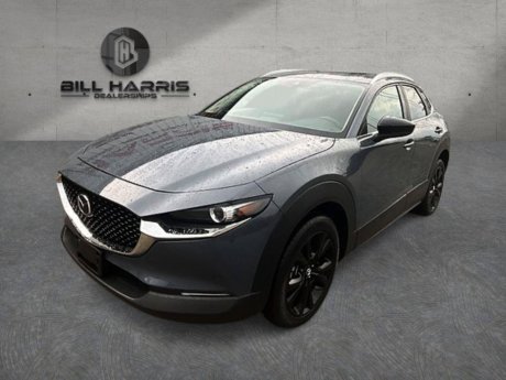 2023 Mazda CX-30 2.5 S Carbon Edition 