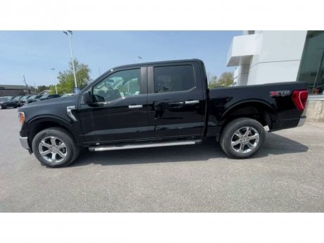 2023 Ford F-150 - 20827 Image 5