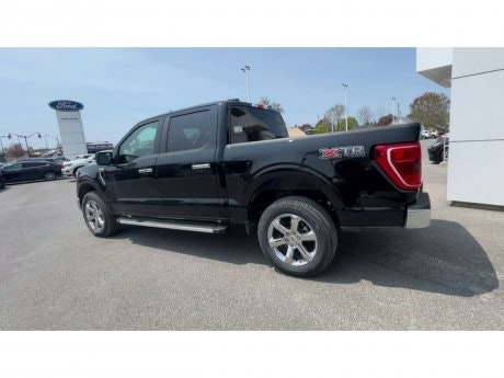 2023 Ford F-150 - 20827 Image 6