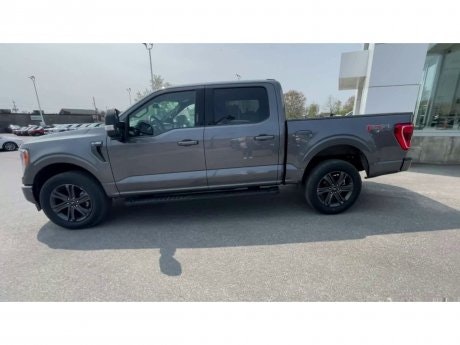2023 Ford F-150 - 20820 Image 5