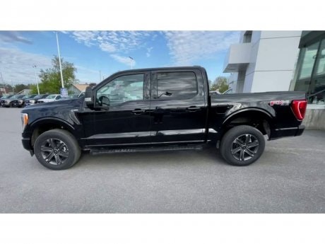 2023 Ford F-150 - 20817 Image 5