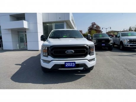 2023 Ford F-150 - 20819 Image 3