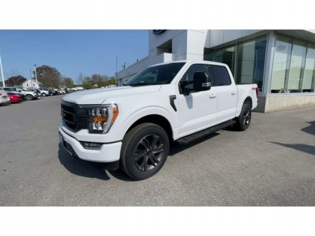 2023 Ford F-150 - 20819 Image 4