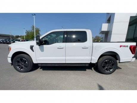 2023 Ford F-150 - 20819 Image 5