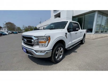 2023 Ford F-150 - 20822 Image 4