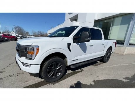 2023 Ford F-150 - 20835 Image 4