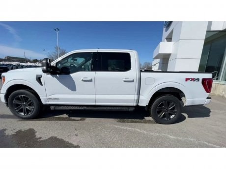 2023 Ford F-150 - 20835 Image 5