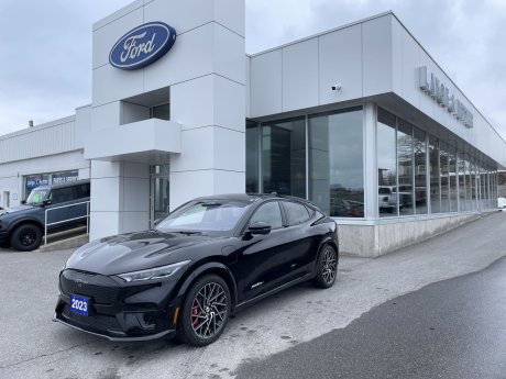 2023 Ford Mustang Mach-E Gt Performance Edition