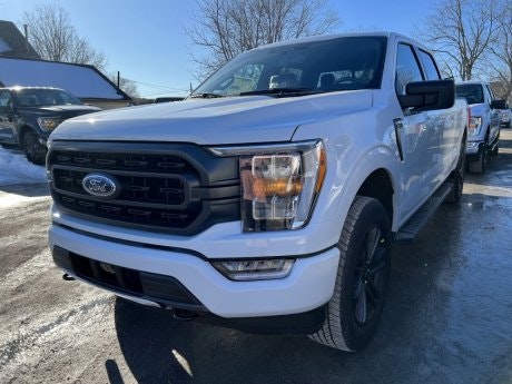 2023 Ford F-150 - 20905 Image 1