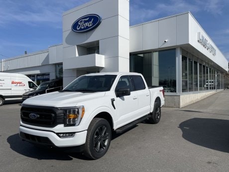 2023 Ford F-150 - 21331 Image 1