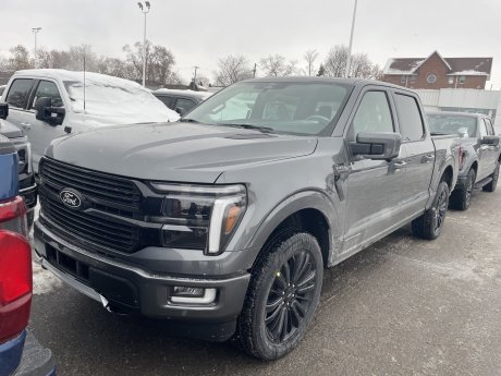 2025 Ford F-150 Platinum 702A 