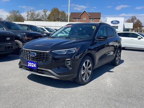 2024 Ford Escape