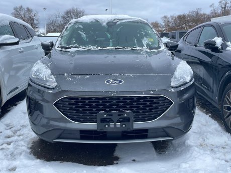 2020 Ford Escape SE | GREAT PRICE! | 