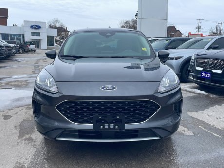 2020 Ford Escape SE | GREAT PRICE! | 