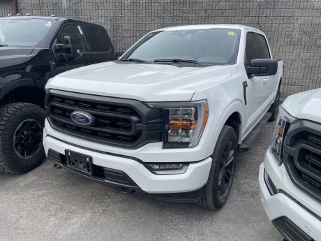 2023 Ford F-150 XLT | 5.0L! | 6.5FT BOX! | 