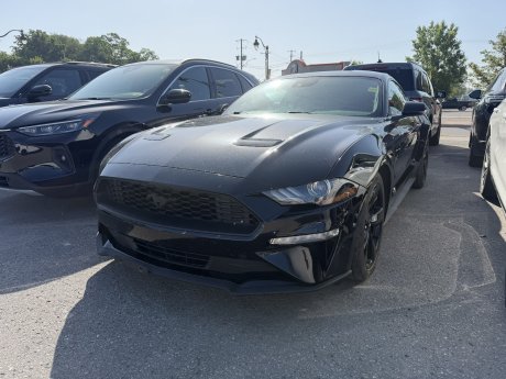 2022 Ford Mustang Ecoboost Premium | RED LEATHER INTERIOR! | 