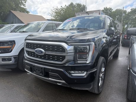 2023 Ford F-150 Platinum | NEXT TO NEW! | 