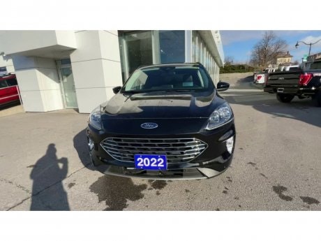 2022 Ford Escape - 20562 Image 3