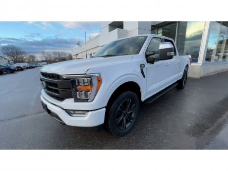 2022 Ford F-150 - 20726 Image 4