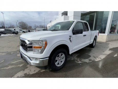 2022 Ford F-150 - 20743 Image 4