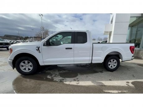 2022 Ford F-150 - 20743 Image 5