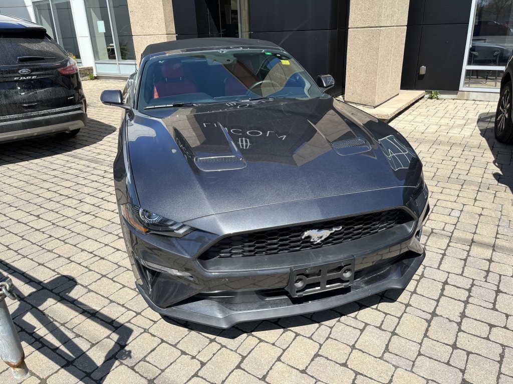2019 Ford Mustang Convertible Prem. (22134A) Main Image
