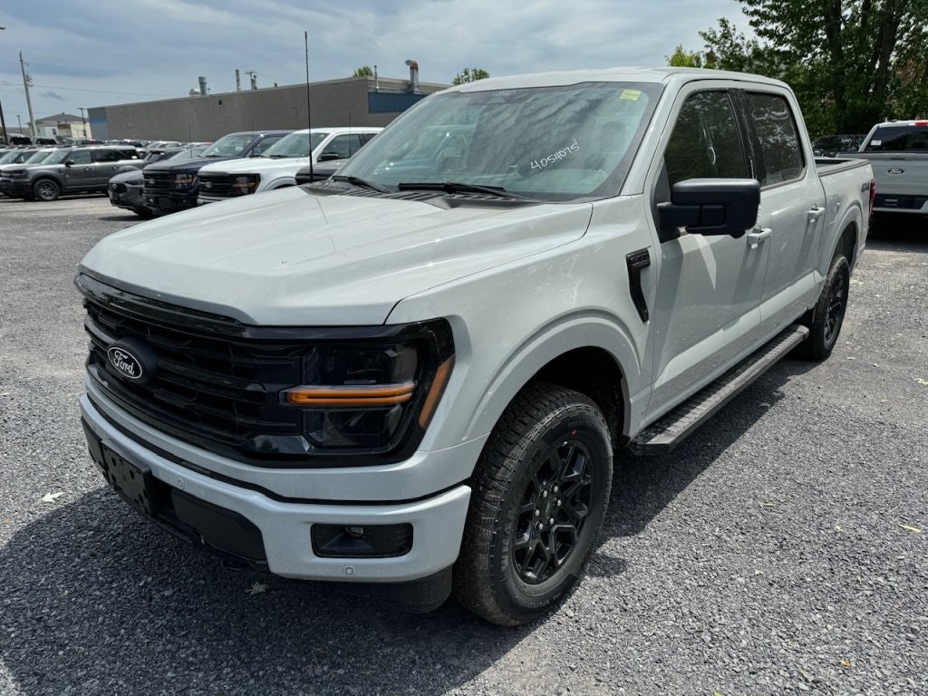 2024 Ford F-150 XLT (24186) Main Image