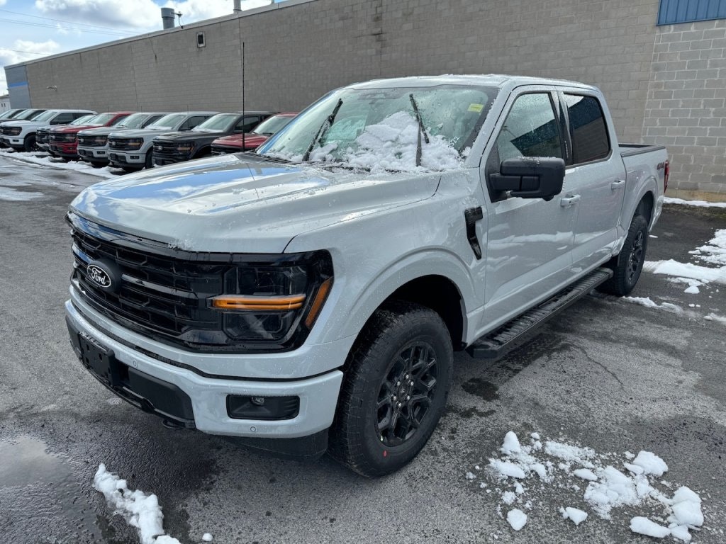 2024 Ford F-150 XLT (24198) Main Image