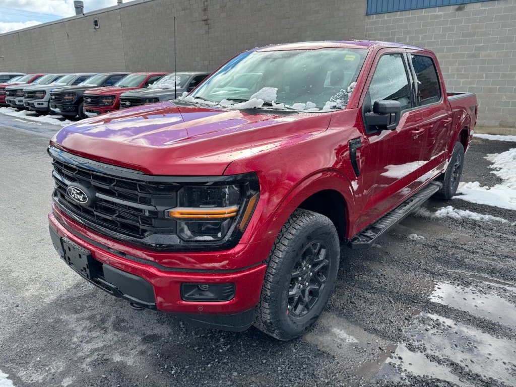 2024 Ford F-150 XLT (24201) Main Image