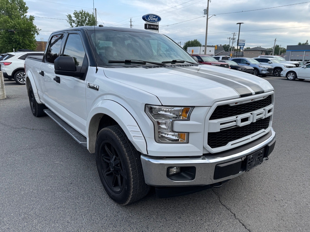 2017 Ford F-150 (25450A) Main Image