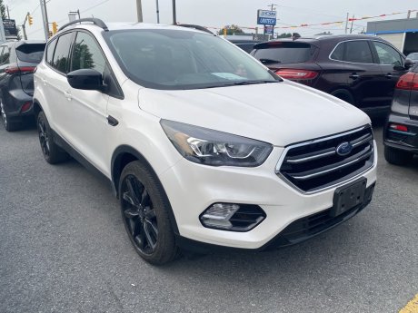 2019 Ford Escape SE