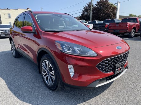 2021 Ford Escape SEL