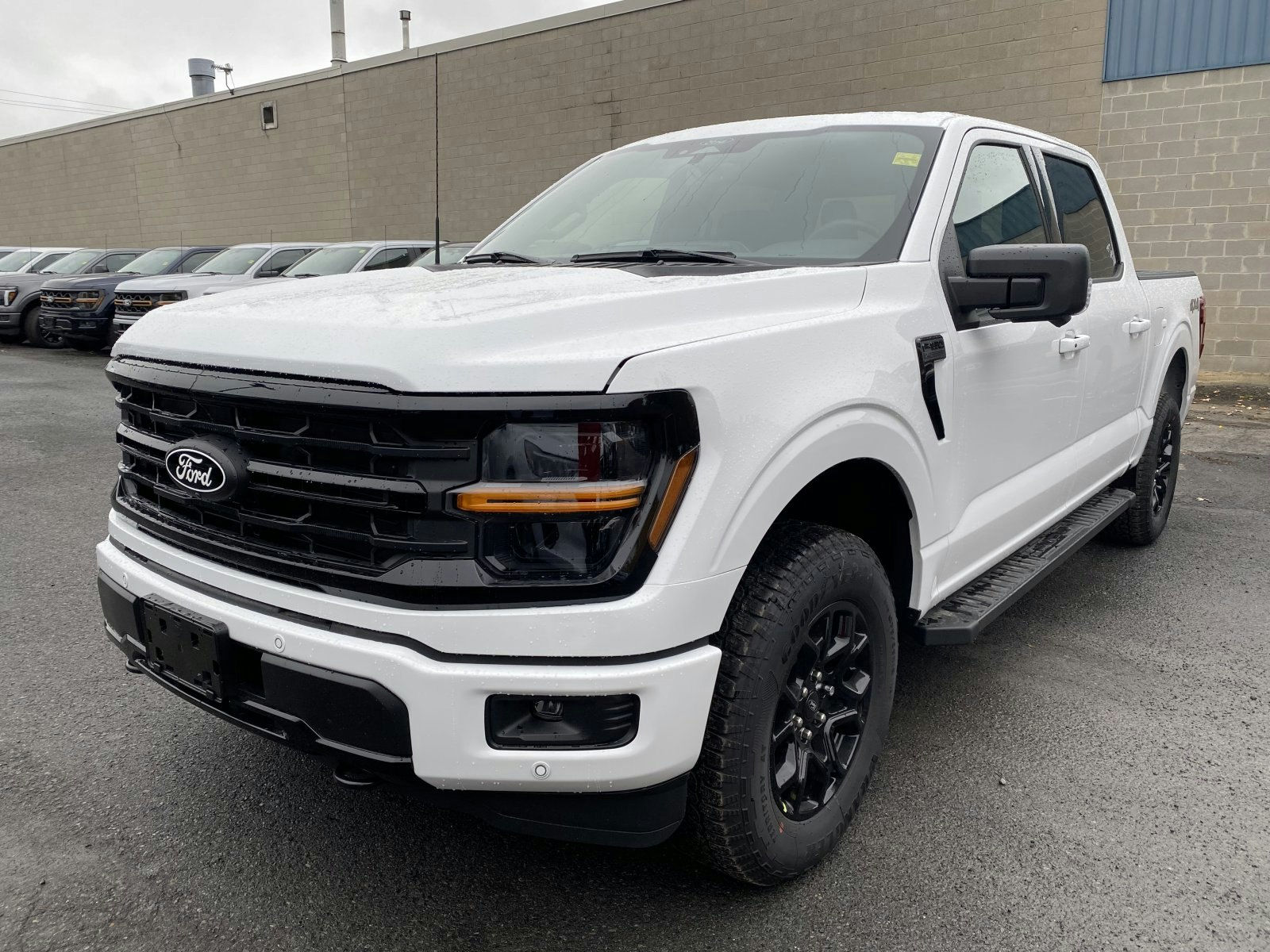 2025 Ford F-150 XLT (25751) Main Image