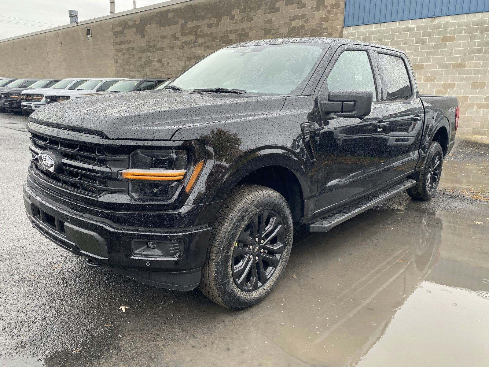 2025 Ford F-150 XLT (25747) Main Image