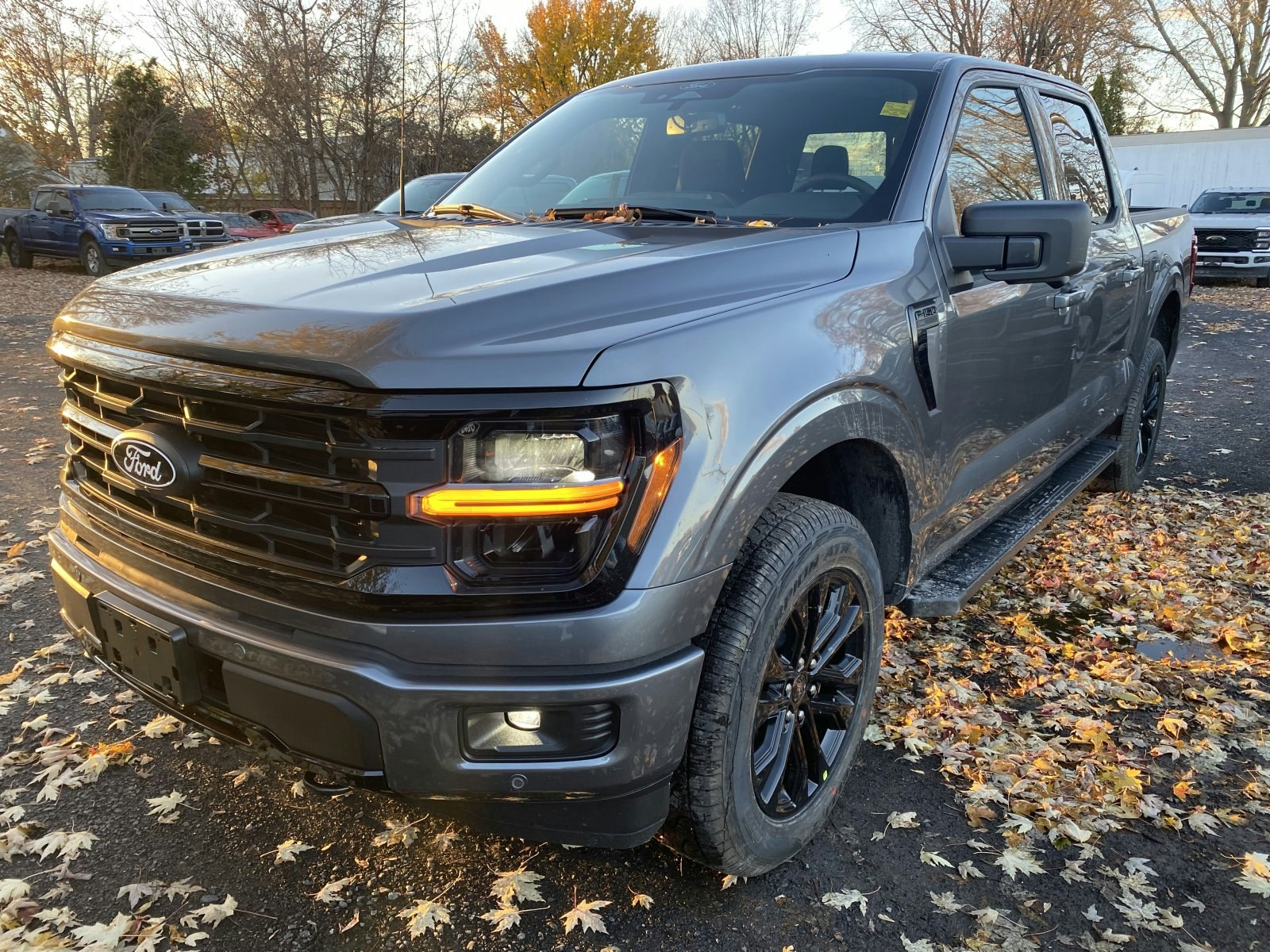 2025 Ford F-150 XLT (25746) Main Image