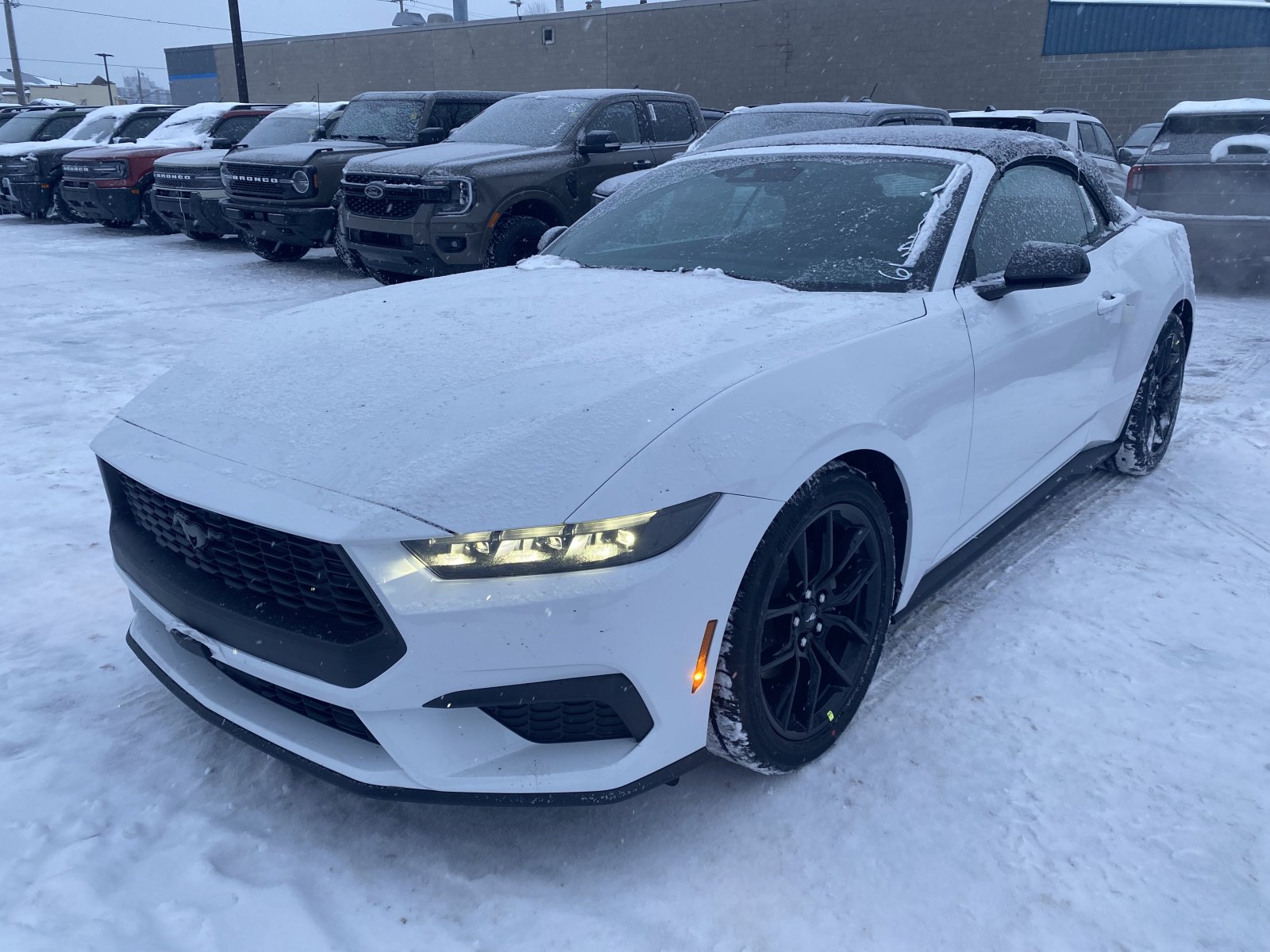 2026 Ford Mustang PREMIUM (26066) Main Image