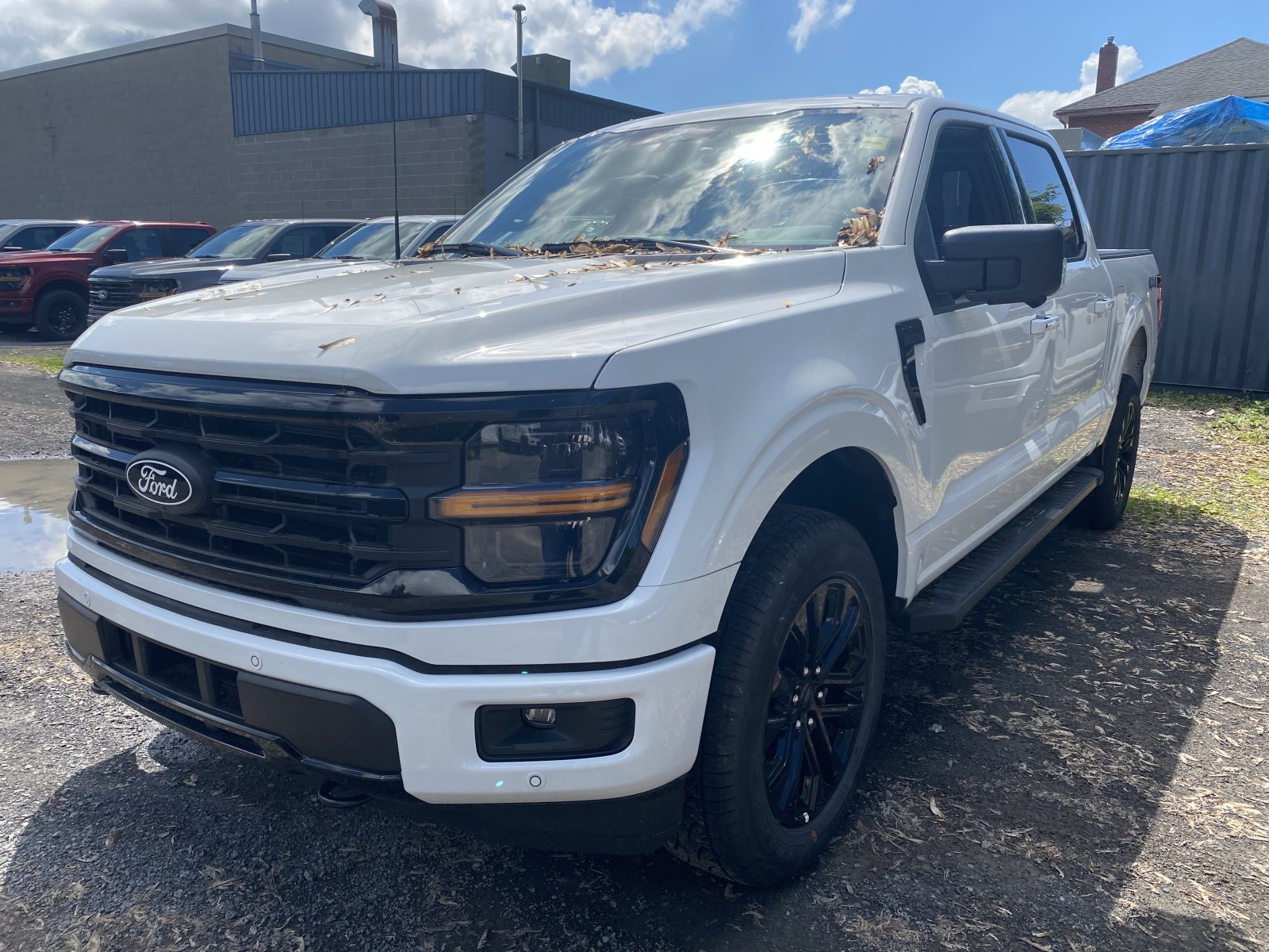 2026 Ford F-150 XLT (26203) Main Image