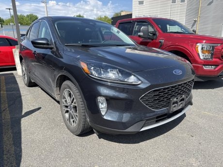 2022 Ford Escape