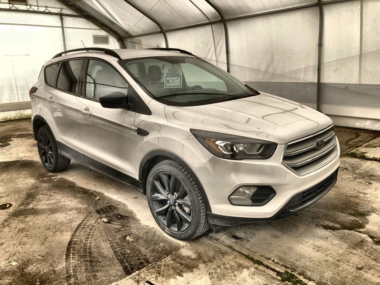 2019 Ford Escape SE (N7139A) Main Image