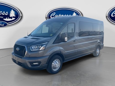 2025 Ford Transit Passenger Wagon XLT 