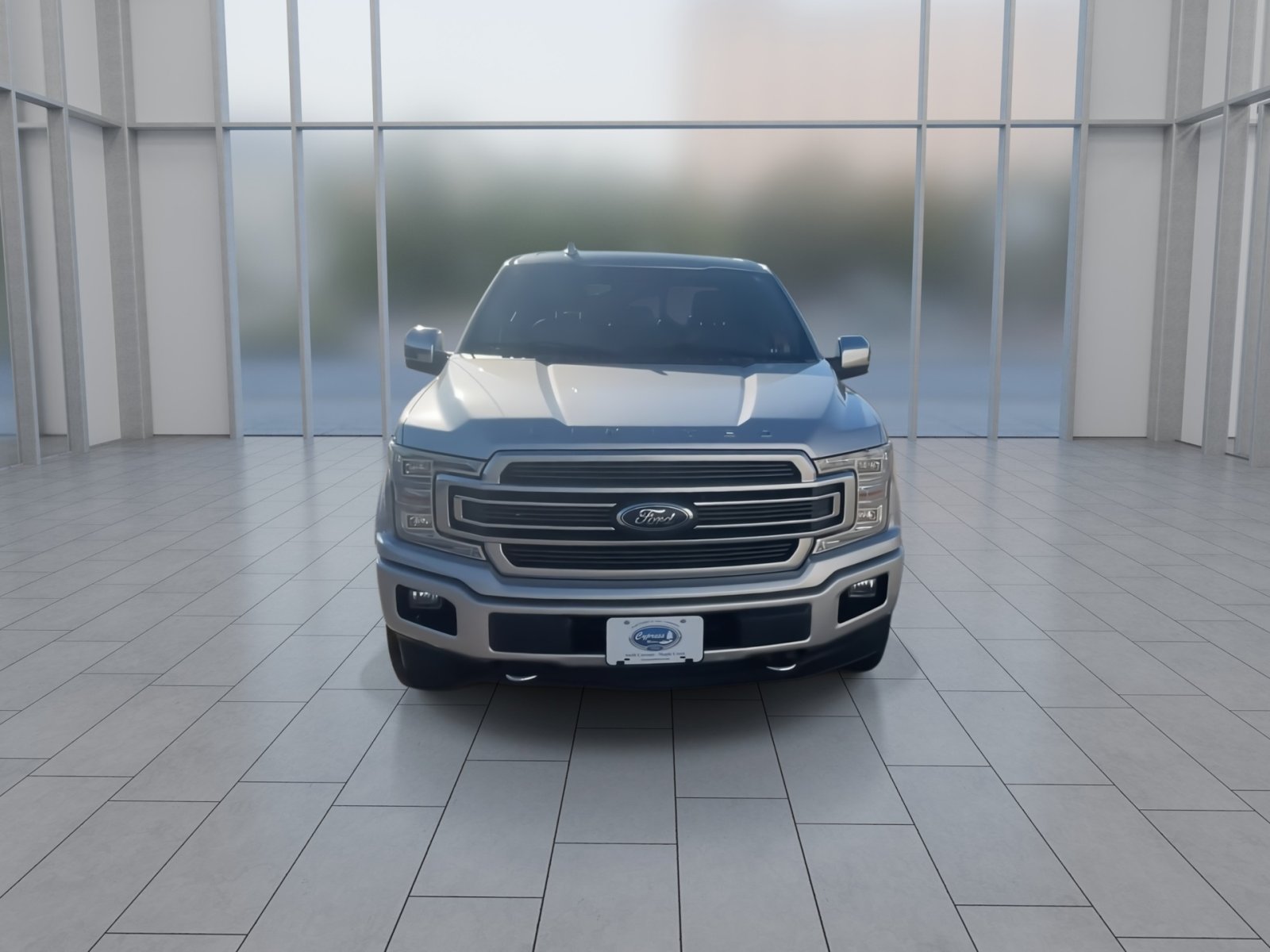 2019 Ford F-150 photo 2