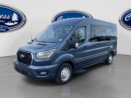 2025 Ford Transit Passenger Wagon XLT 