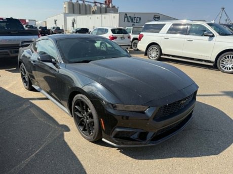 2024 Ford Mustang Premium 