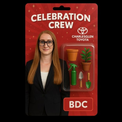 Teija Monsouri - BDC