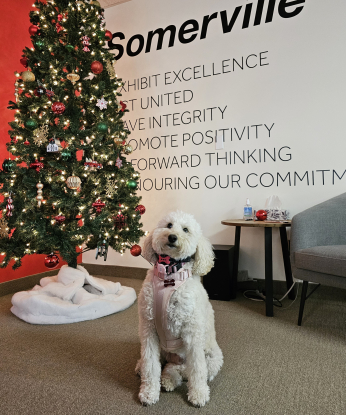 Tallulah  - Customer Greeter