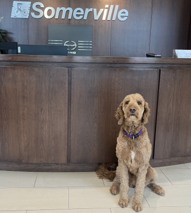 True  - Customer Greeter