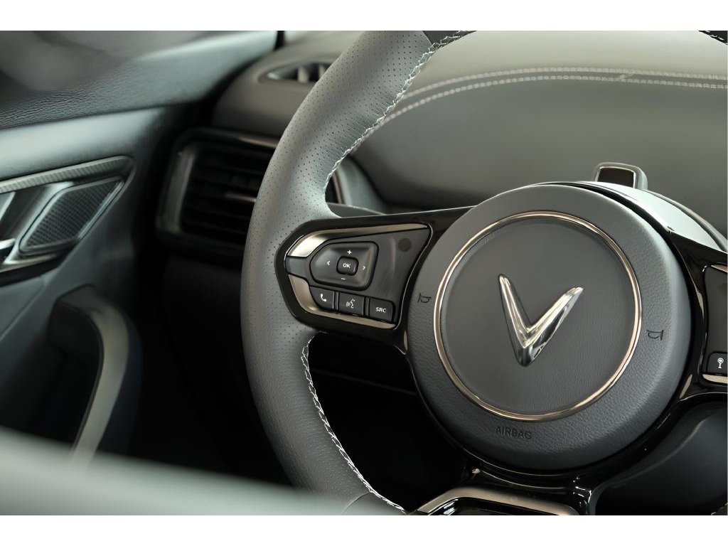2025 VinFast VF 8 Eco - Photo 9