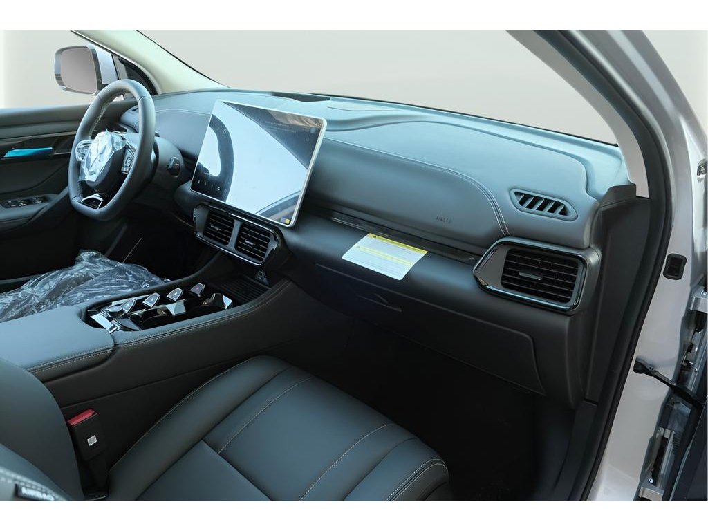 2025 VinFast VF 8 Eco - Photo 19