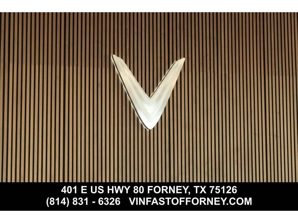 2024 VinFast VF 9 PLUS's photo